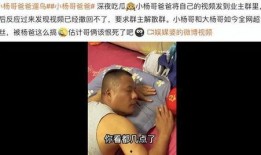 小杨哥新闻爆料视频,揭秘新闻背后真相